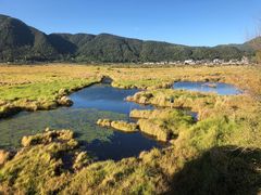 -洱海月湿地公园