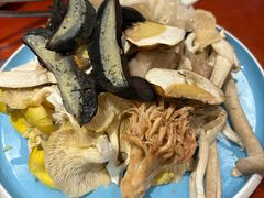 -菌之家·专业纯野生菌火锅·特色炒菌