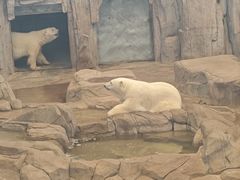 -西安曲江海洋极地公园
