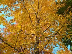 -江南大学(蠡湖校区)