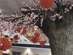 -鸥迪足道(安庆店)
