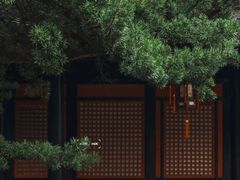 -成都市活水公园