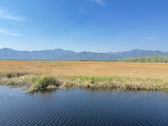 -野鸭湖国家湿地公园