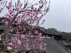 -重庆园博园