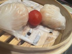 金牌虾饺皇-点都德(千灯湖环宇城店)