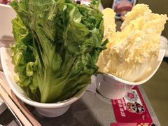 -海底捞火锅(新华联梦想城店)