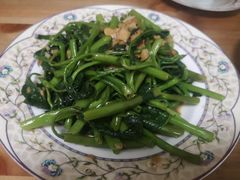 空心菜-东川新街市(东川市场店)