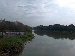 -海珠湖公园