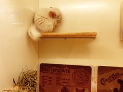 -龙猫仔乐园(惠福东路店)