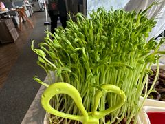 -海底捞火锅(老城根店)