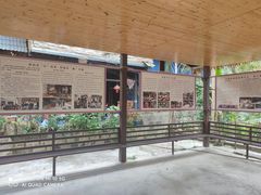 -西双版纳基诺山寨