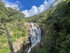 -海南热带雨林国家公园吊罗山景区