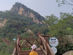 -大岭沟猕猴桃谷风景区