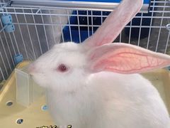 -SHRIMP CLUB万东餐饮钓虾·清吧