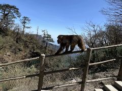 -峨眉山报国寺