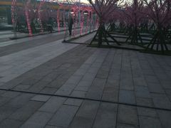 -万达广场(芜湖镜湖店)