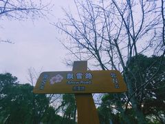 -自然谷恐龙园