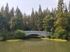 -崇明东平国家森林公园烧烤房车露营地