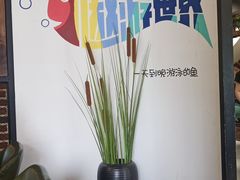 -肥鱼屯活鱼锅(惠工街店)