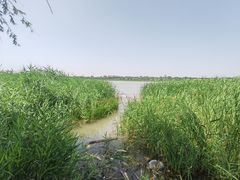 -绿堤公园