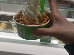 -Salud撒露欧洲冻酸奶(北苑上品店)