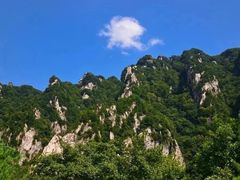 -王顺山国家森林公园