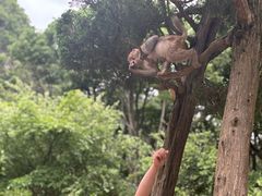 -黔灵山公园