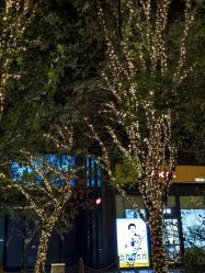 -Oasis Beauty水磨坊科技美肤中心