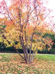 -大望京儿童游乐场