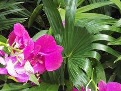 -迎宾楼(解放西街店)