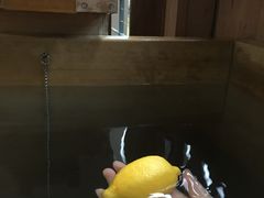 -南紀白浜 浜千鳥の湯 海舟