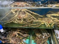 -蚝专家(北滘店)