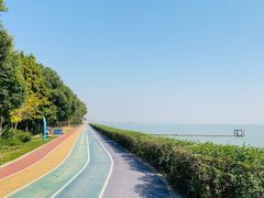 -贡湖湾湿地公园
