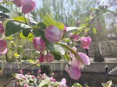 -元大都城垣遗址公园