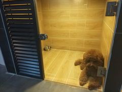 -宠物之家Pets Home 宠物寄养酒店
