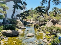 -罗红摄影艺术馆