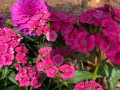 -人民公园(罗湖区)