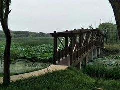 -同里国家湿地公园