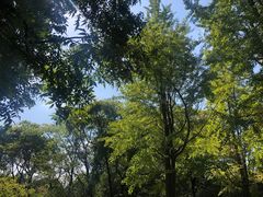 -老苏州大客堂·苏帮菜·松鼠桂鱼·苏州传统小吃(观前街人民商场店)