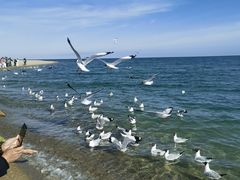 -帝姬健康·泡浴·水疗·轻奢SPA梦浴养生(金沙财大店)