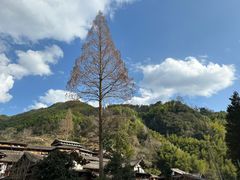 -林坑古村落