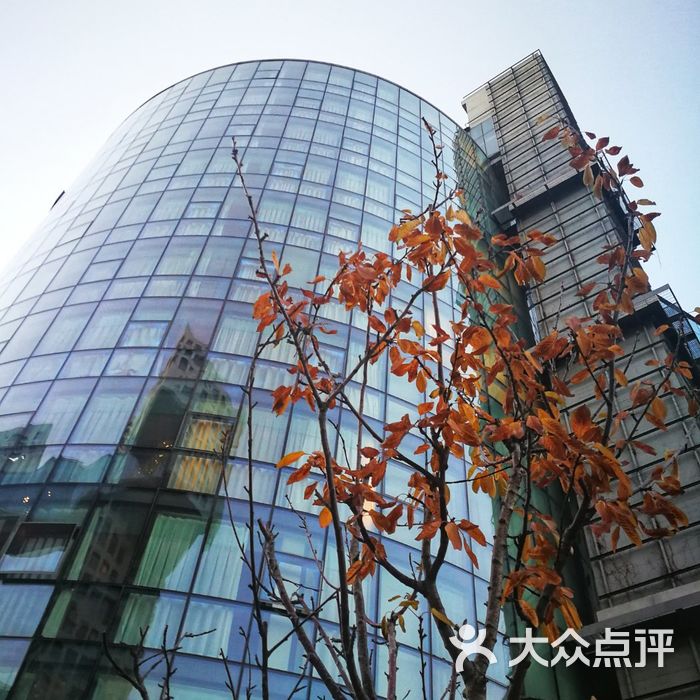 hotel momc蔓兰酒店图片-北京高档型-大众点评网