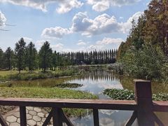 -黄海国家森林公园