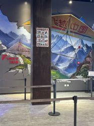 -飞览天下沉浸式飞行体验(北京旗舰店)