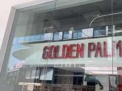 点击看大图 -金棕榈