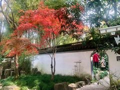 -秋霞圃
