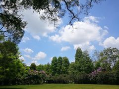 -南宁良凤江国家森林公园