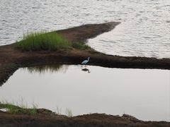 -立新湖公园
