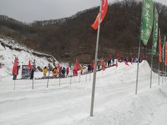 -天女山森林公园