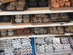 -万商花鸟市场